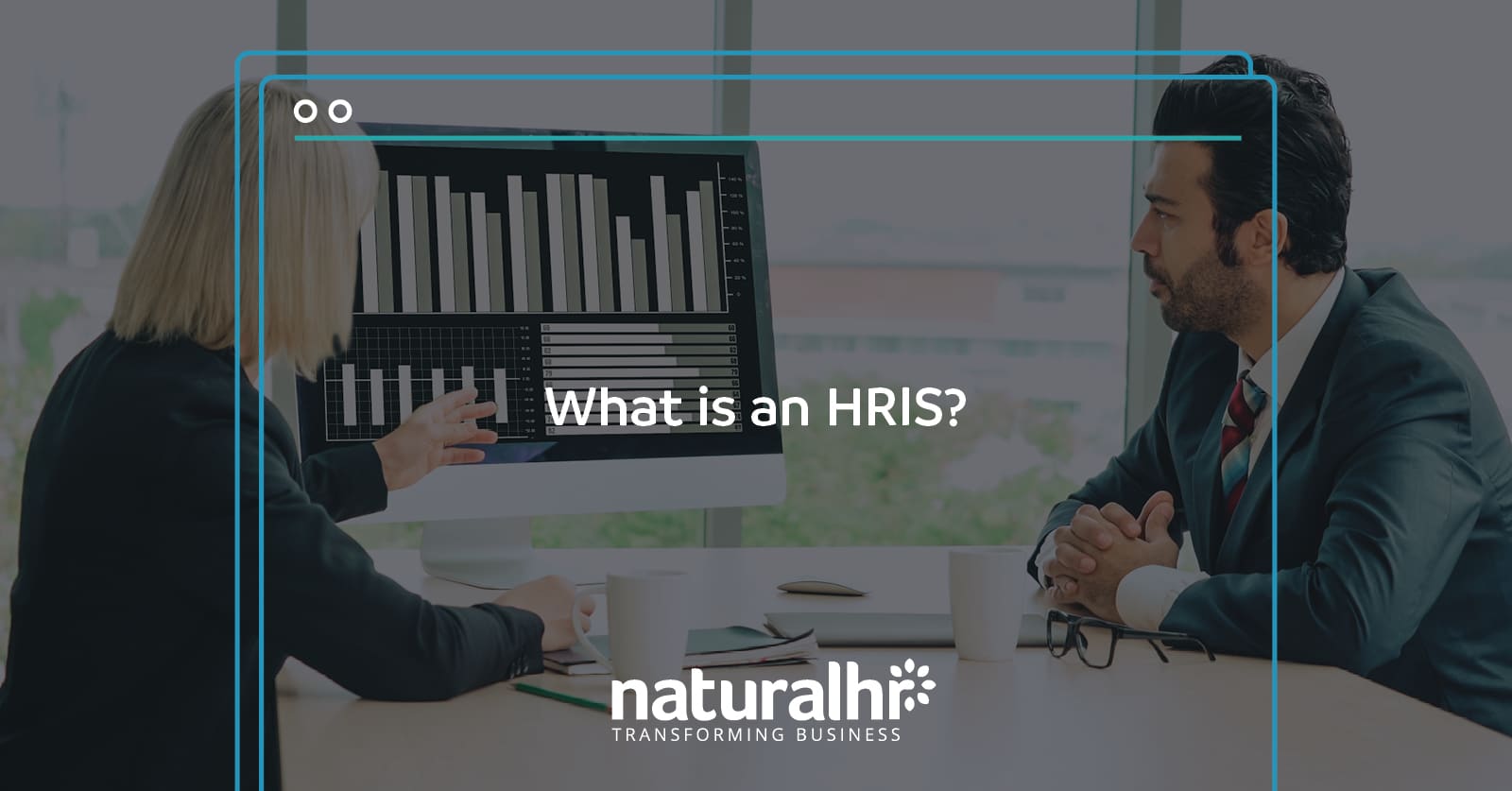 What is HRIS?