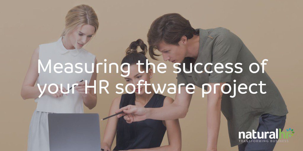 Employees measuring the success of their HR software project