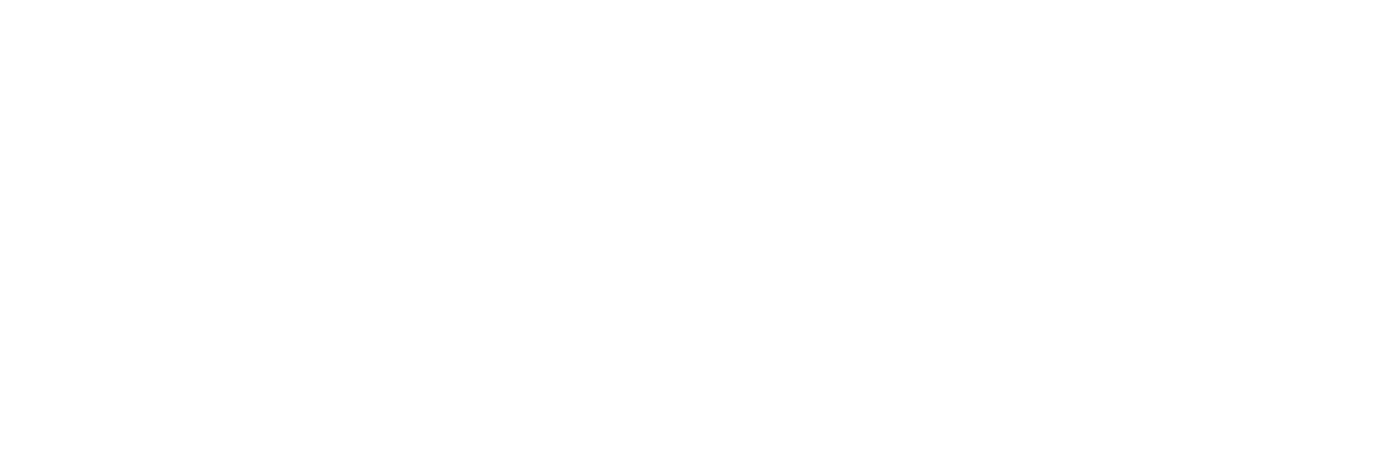 breyer group