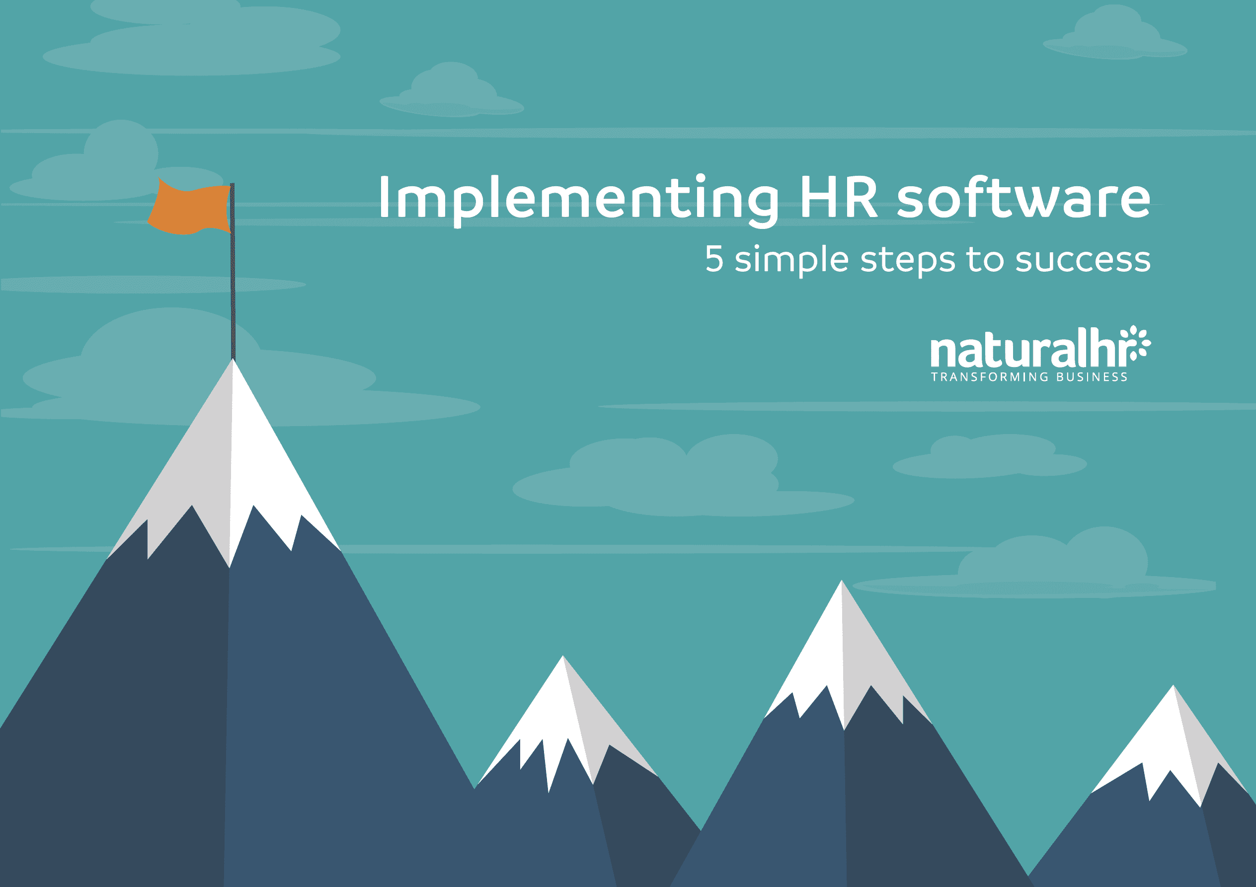 implementing hr software guide